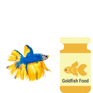 Can you feed Betta Fish Goldfish food
