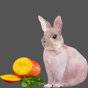 can rabbit eat mango