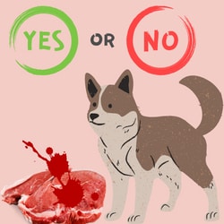 Can Dogs eat Blood