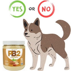 Can Dogs have PB2