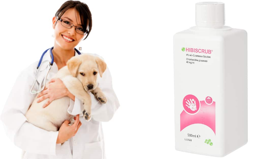 How to use Hibiscrub for dogs