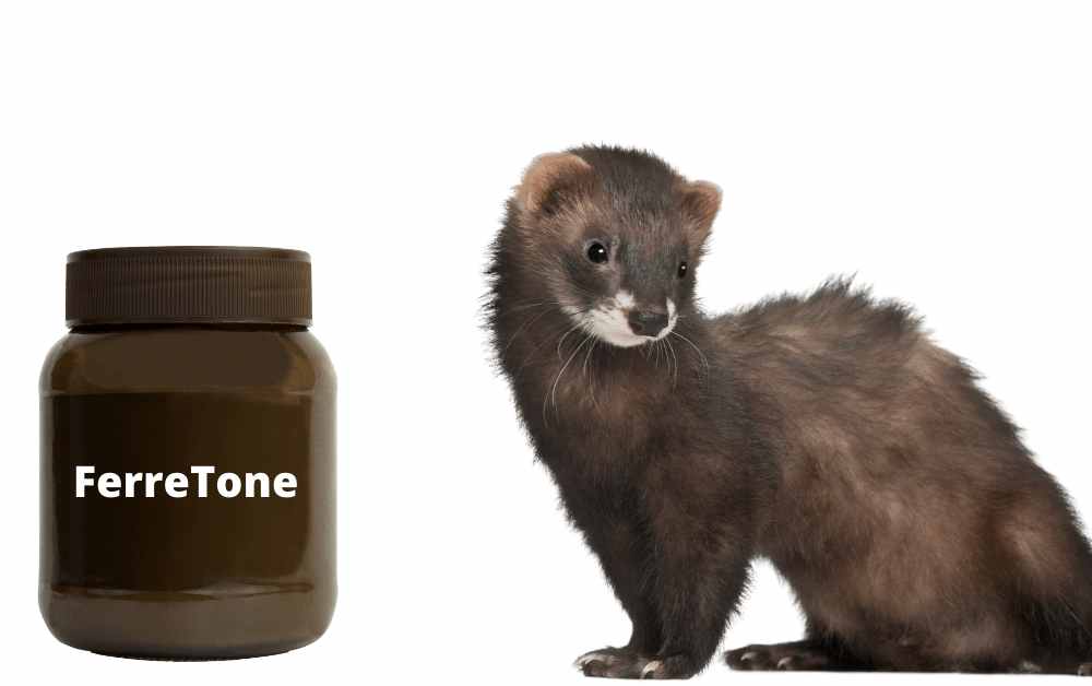 What Is FerreTone For Ferrets