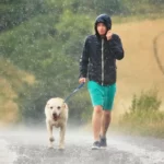 dogs in rain with owner