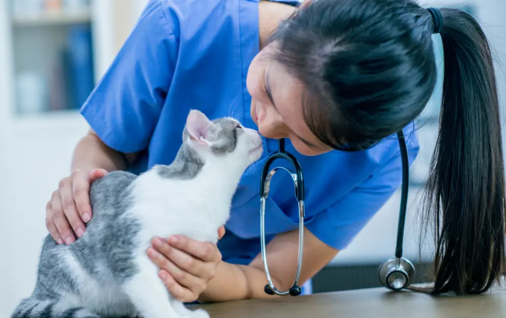 lady vet with cat