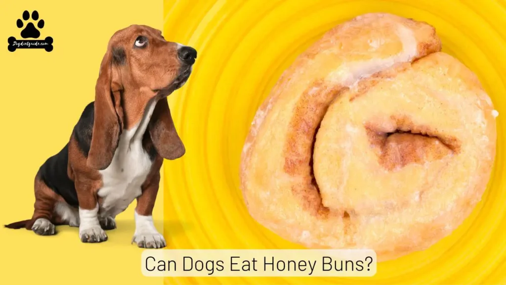 Dogs Eat Honey Buns