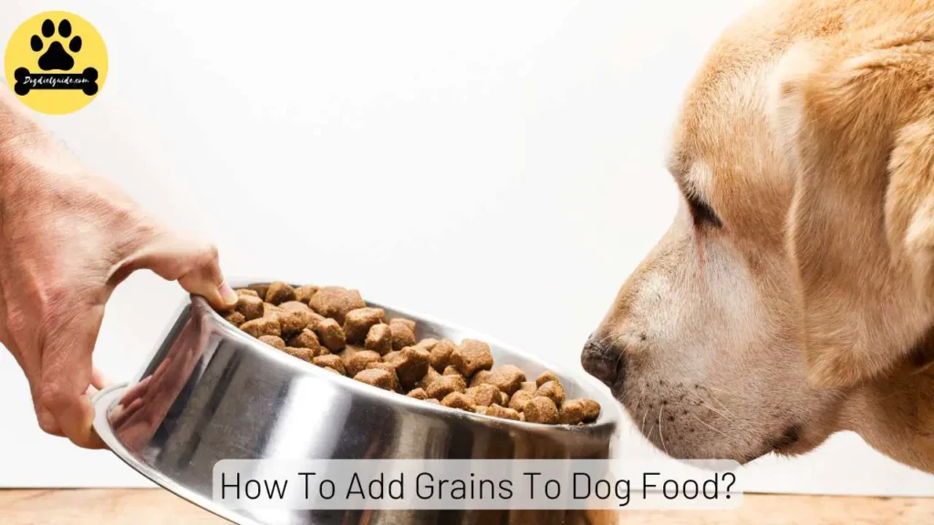Add Grains To Dog Food