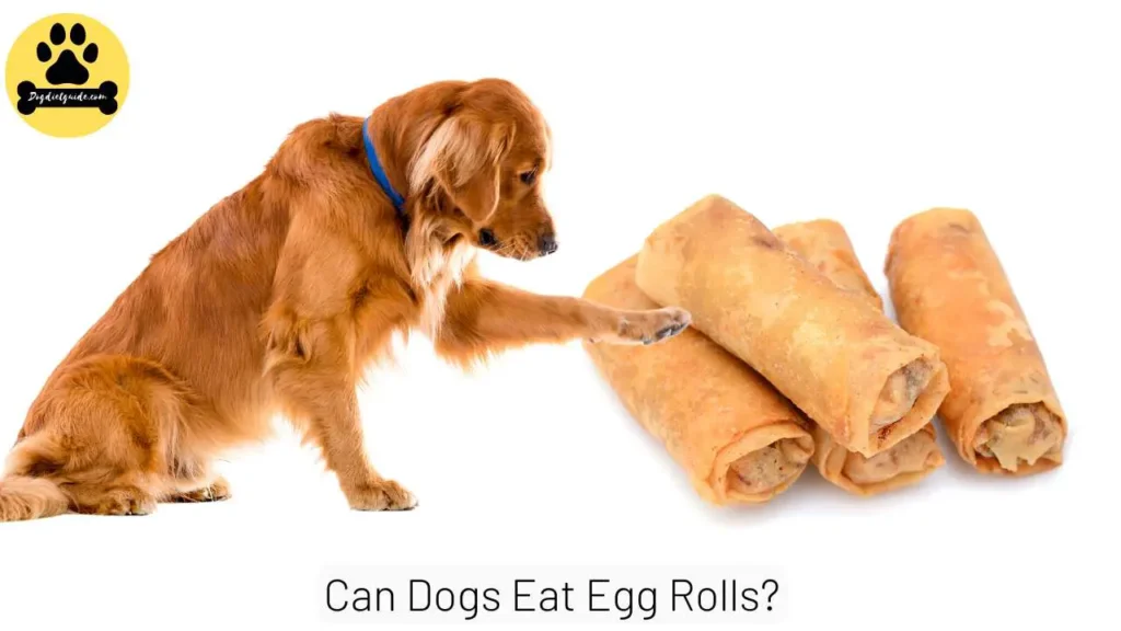 Egg Rolls for dogs