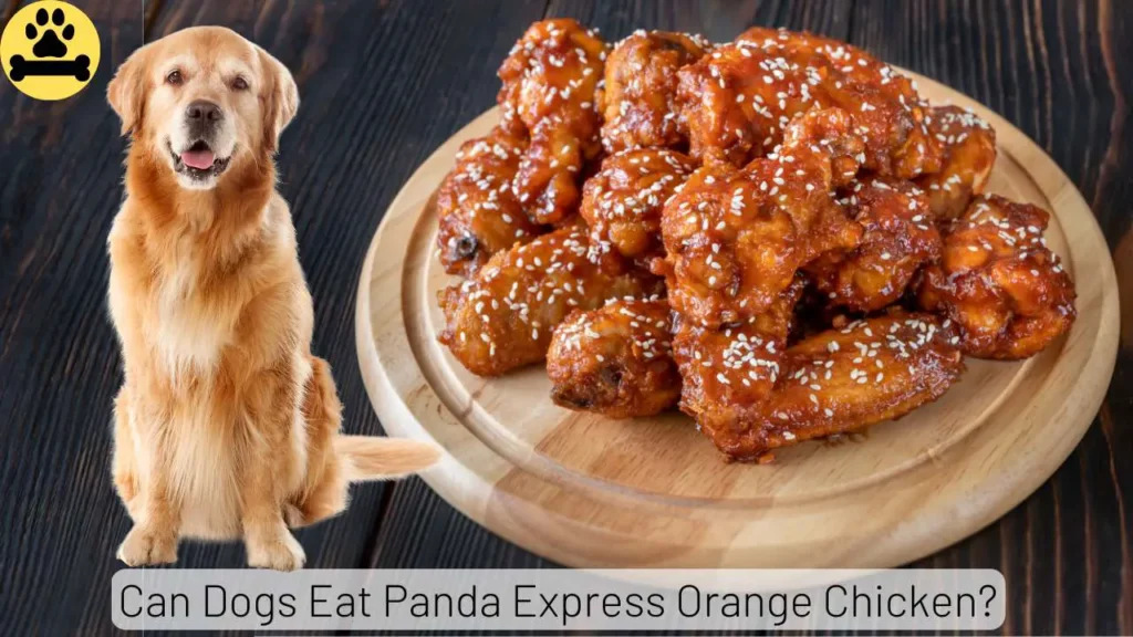 Panda Express Orange Chicken for dogs