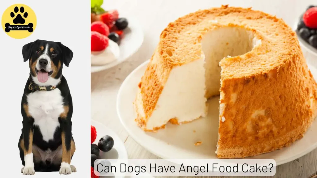 Angel Food Cake for dogs