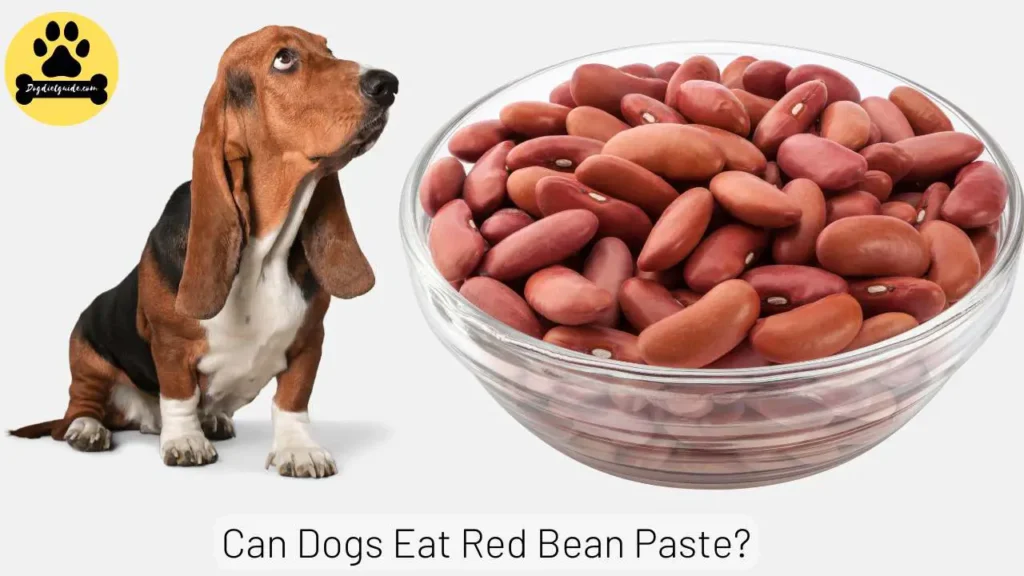 read beans paste for dogs