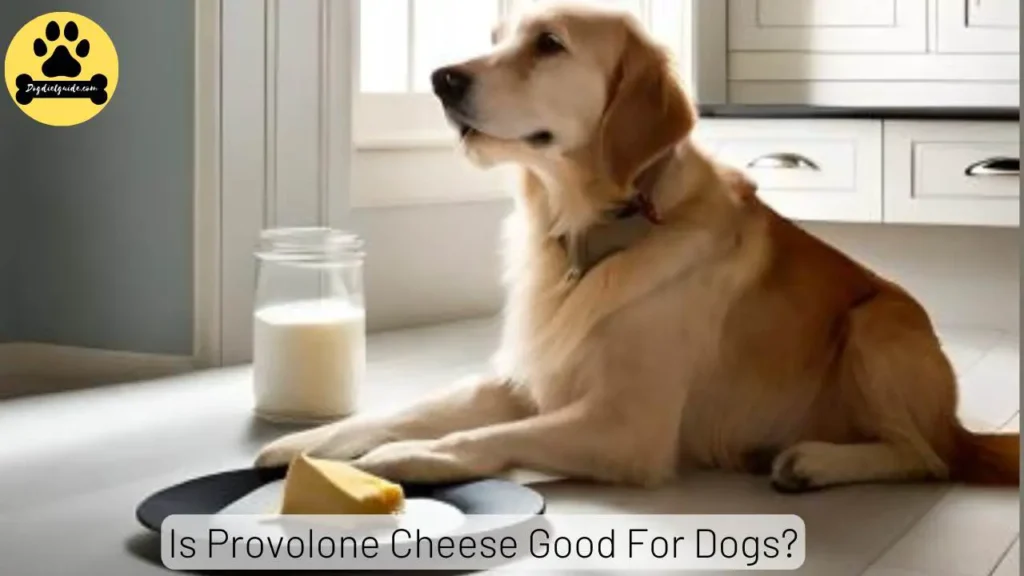 Is Provolone Cheese Good For Dogs