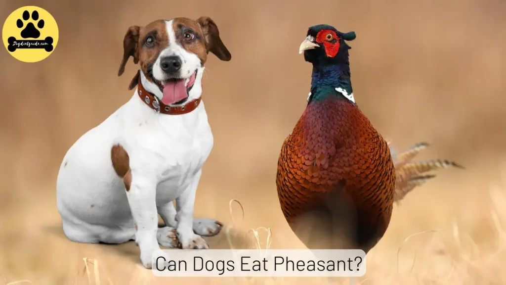 Can Dogs Eat Pheasant