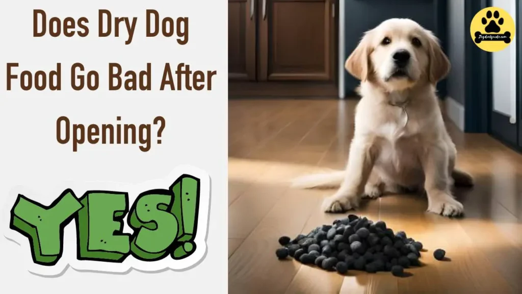 Does Dry Dog Food Go Bad After Opening
