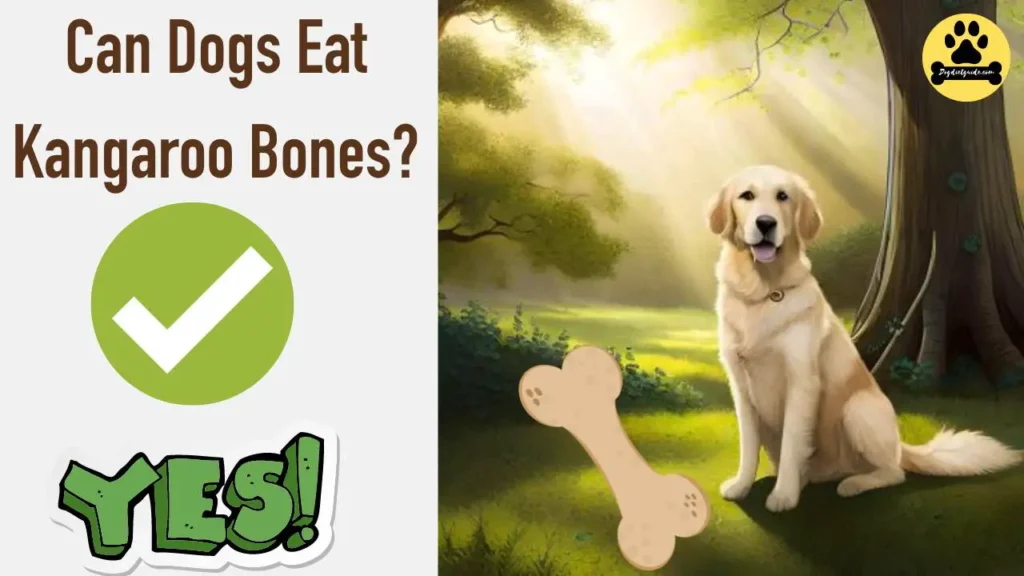 Can Dogs Eat Kangaroo Bones