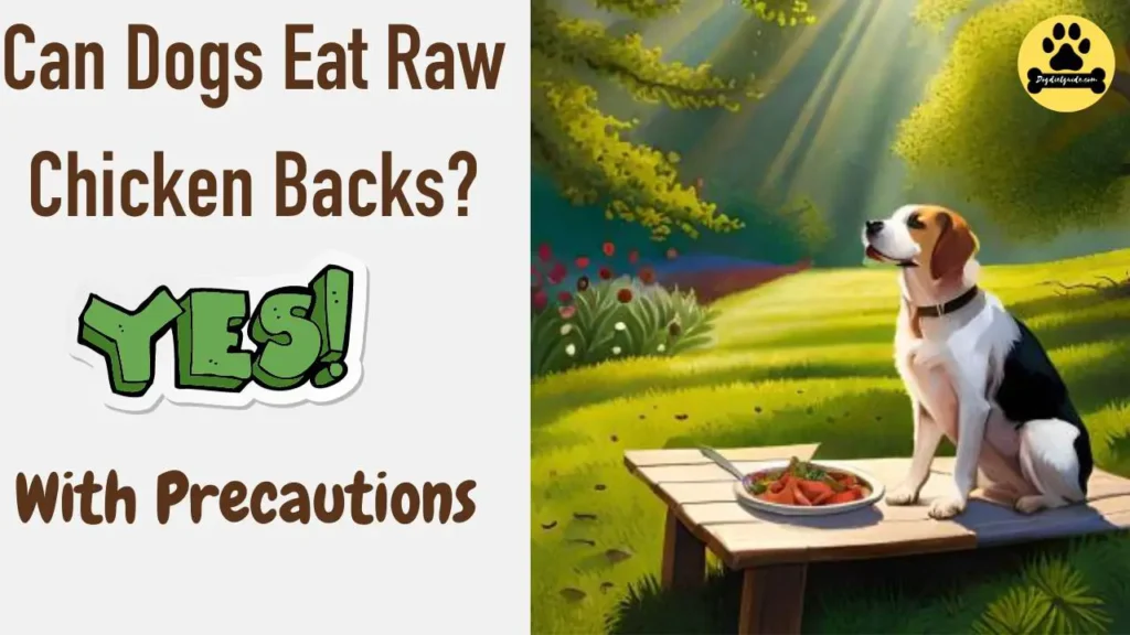 Can Dogs Eat Raw Chicken Backs?