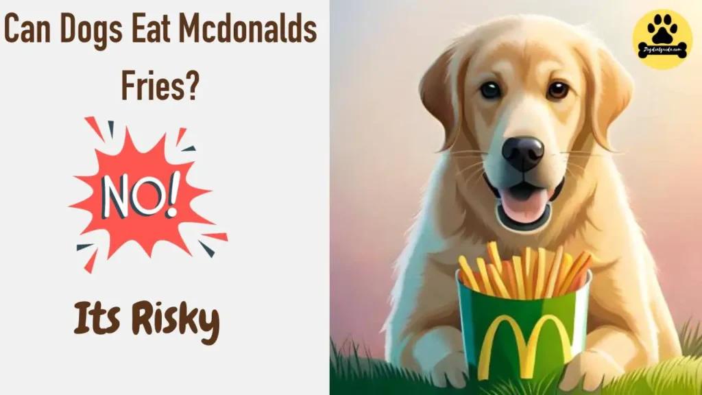 Can Dogs Eat Mcdonalds Fries