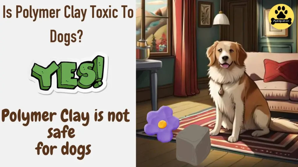 Is Polymer Clay Toxic To Dogs