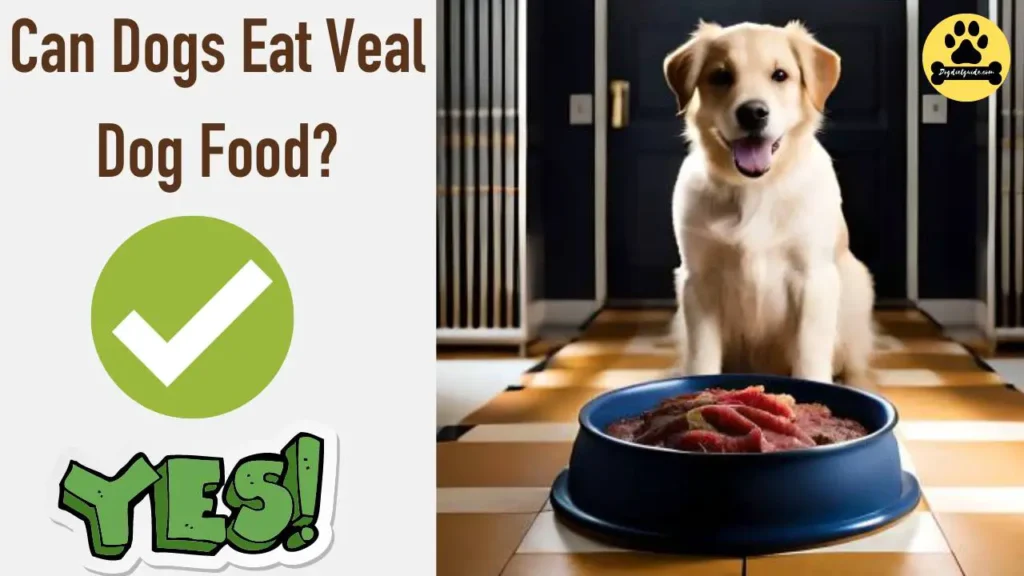 Veal Dog Food