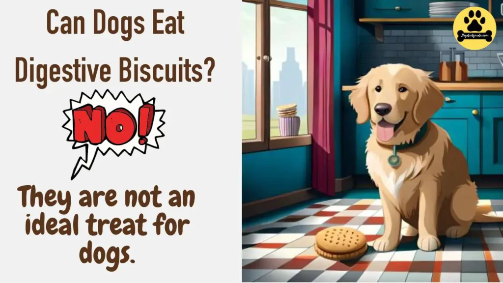 Can Dogs Eat Digestive Biscuits