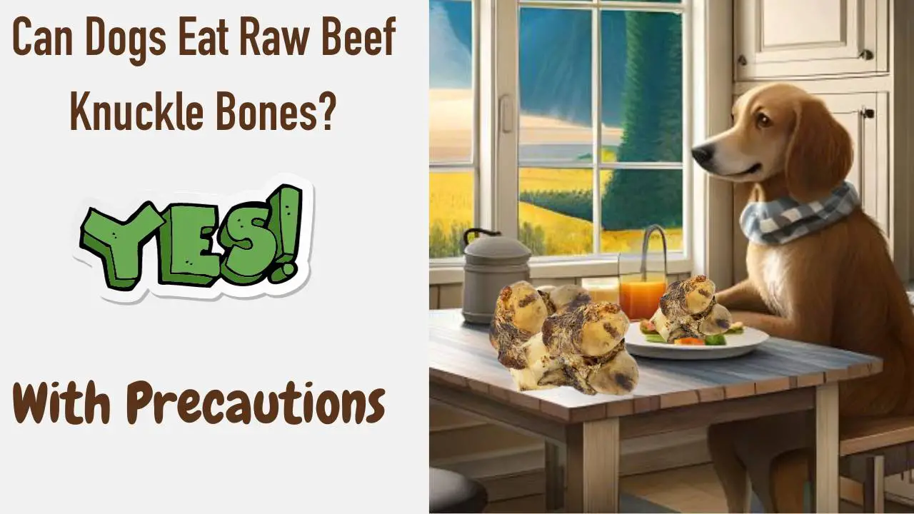 Raw Beef Knuckle Bones For Dogs Benefits & Risks