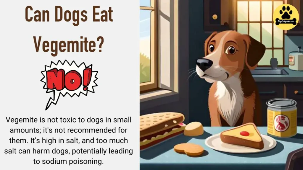 Can Dogs Eat Vegemite