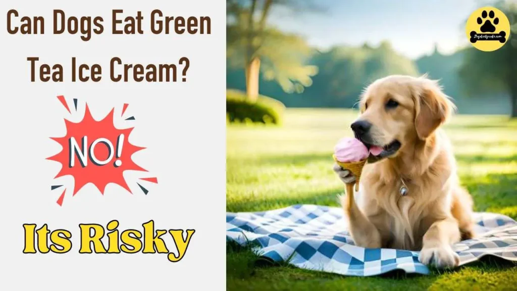 Can Dogs Eat Green Tea Ice Cream