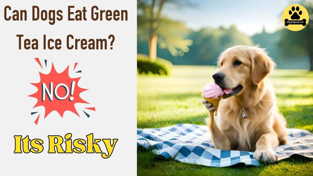 Can Dogs Eat Green Tea Ice Cream? Risks & Safe Alternatives