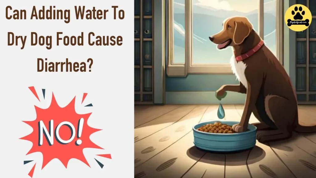 Can Adding Water To Dry Dog Food Cause Diarrhea