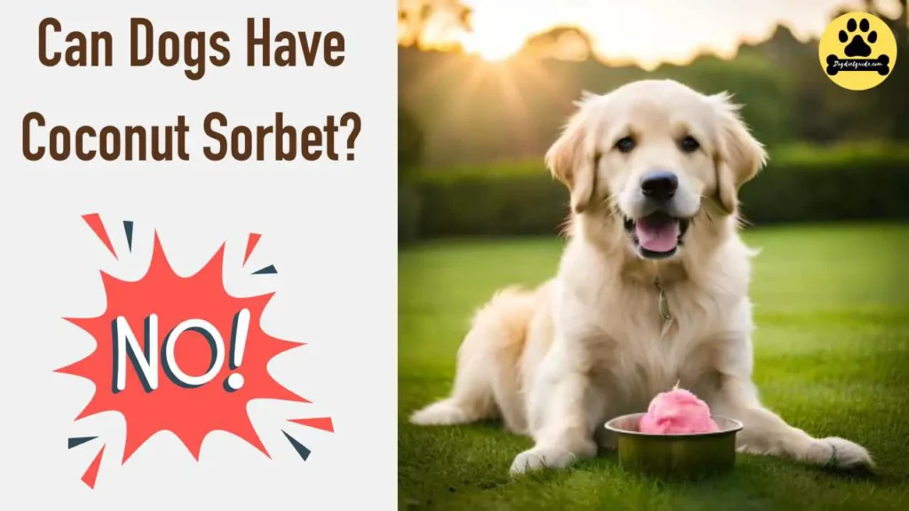 Can Dogs Have Coconut Sorbet