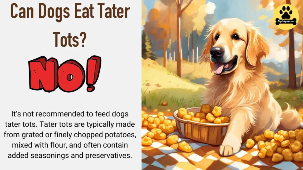 Can Dogs Eat Tater Tots