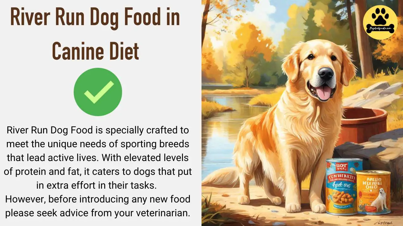 River Run Dog Food in Canine Diet Tested Review