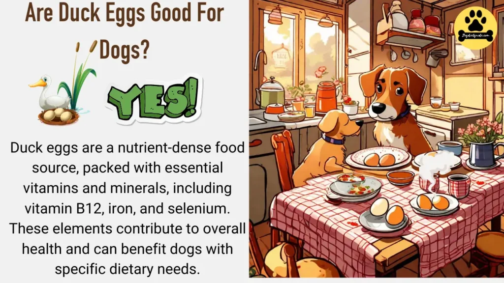 Are Duck Eggs Good For Dogs