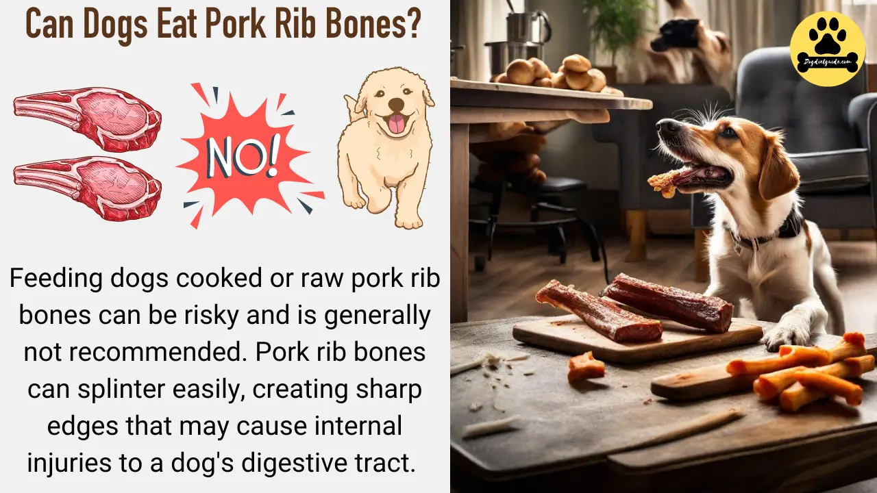 Can Dogs Eat Pork Rib Bones? (No) Health Risks Explained