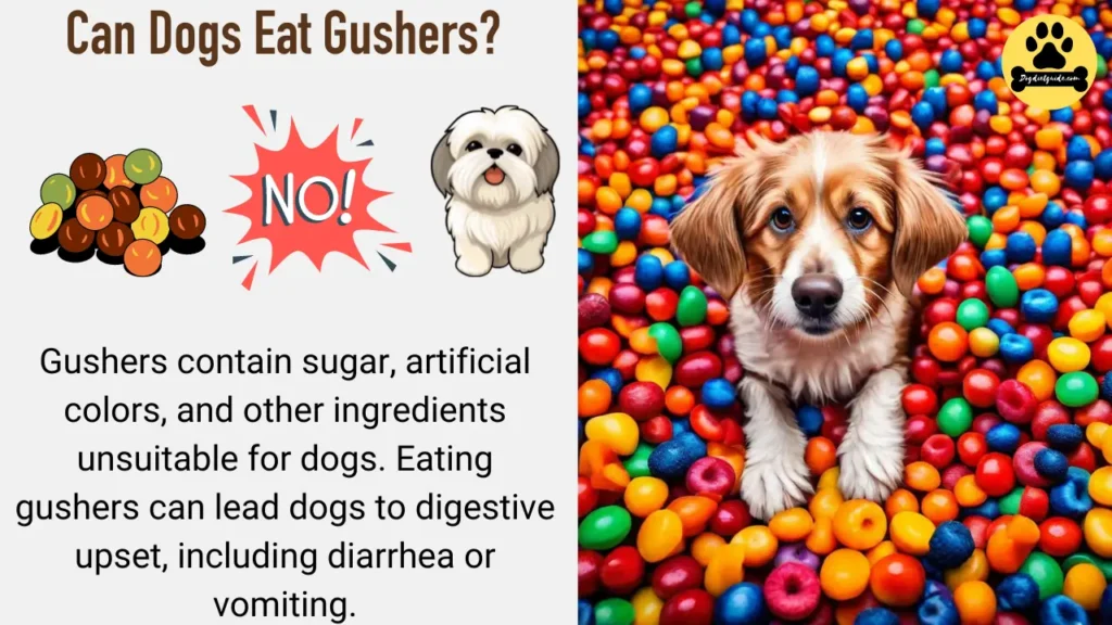 Can Dogs Eat Gushers