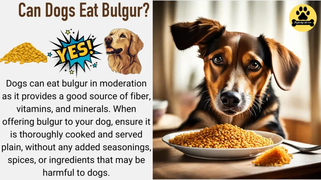 Can Dogs Eat Bulgur