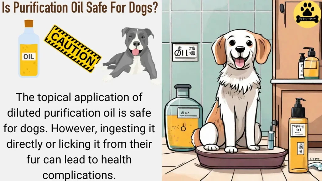 Is Purification Oil Safe For Dogs