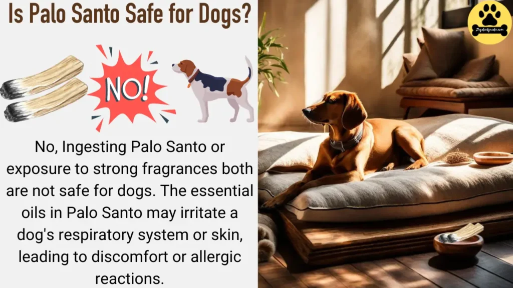 Is Palo Santo Safe for Dogs