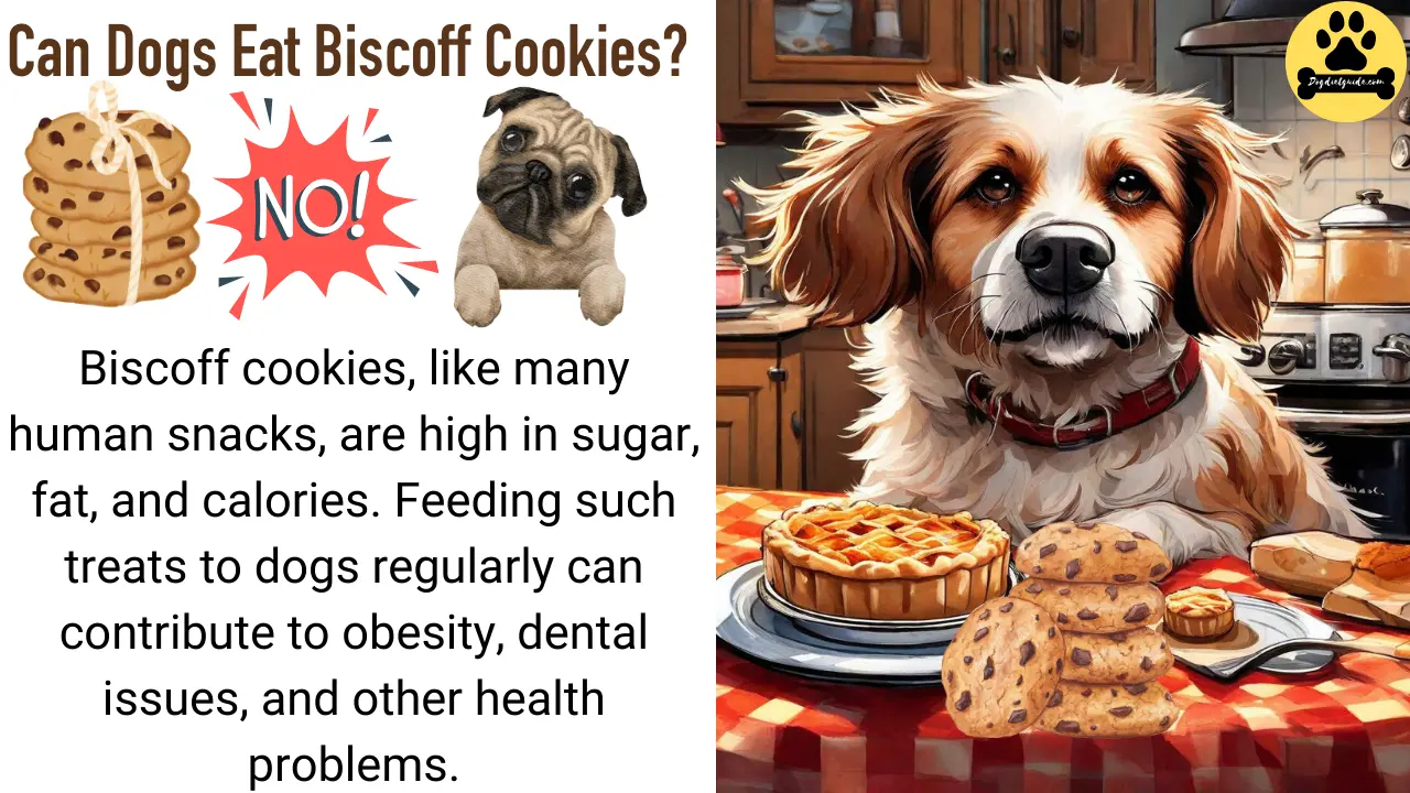 Can Dogs Eat Biscoff Cookies? (No) Health Risks Explained