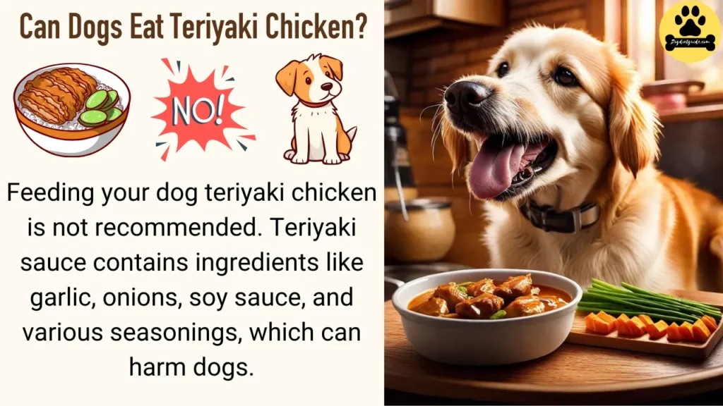 Can Dogs Eat Teriyaki Chicken