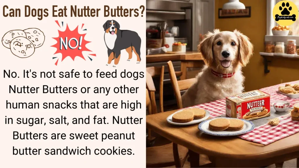Can Dogs Eat Nutter Butters