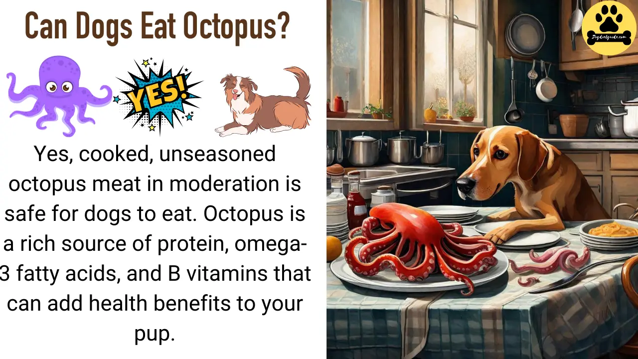 Can Dogs Eat Octopus? | Benefits, Risks and Safe Serving