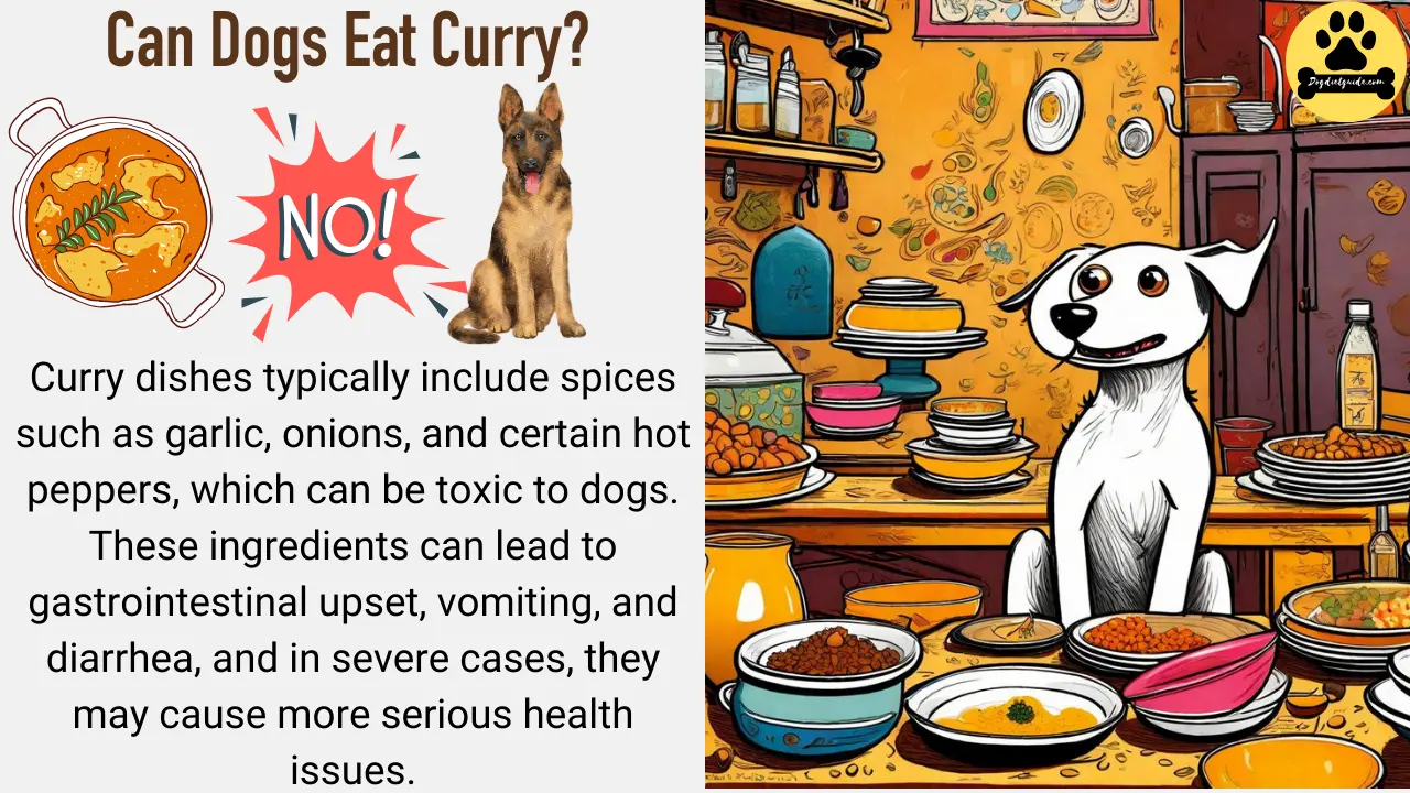 Can Dogs Eat Curry? (No) Health Risks Explained