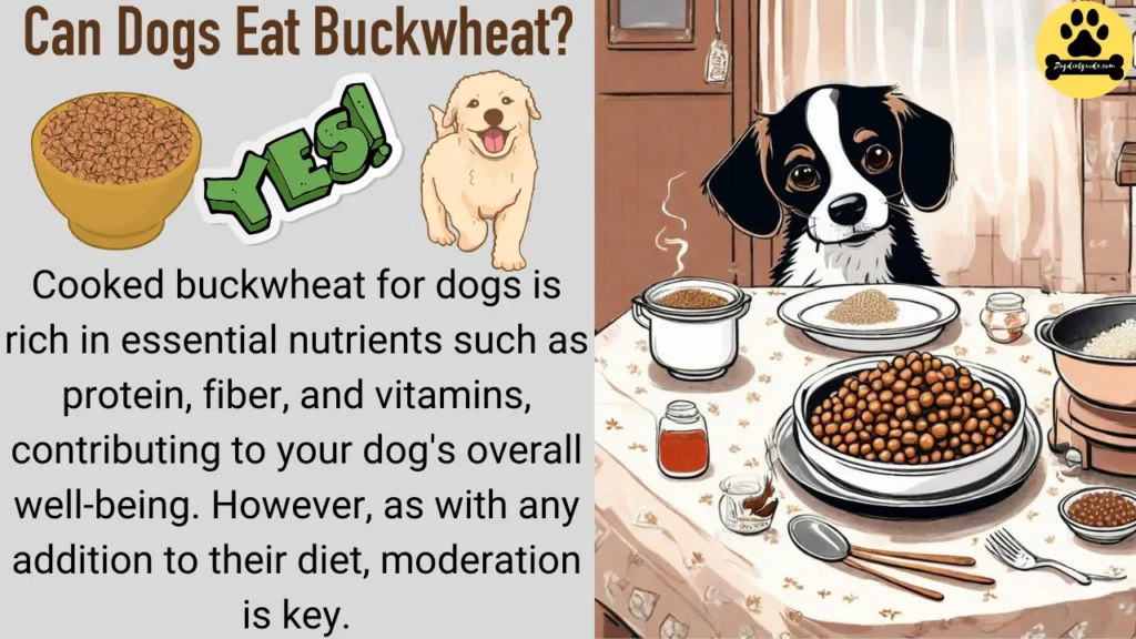 Can Dogs Eat Buckwheat