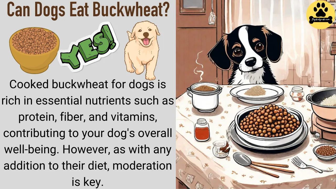 Can Dogs Eat Buckwheat? Benefits, Risks & Serving Tips