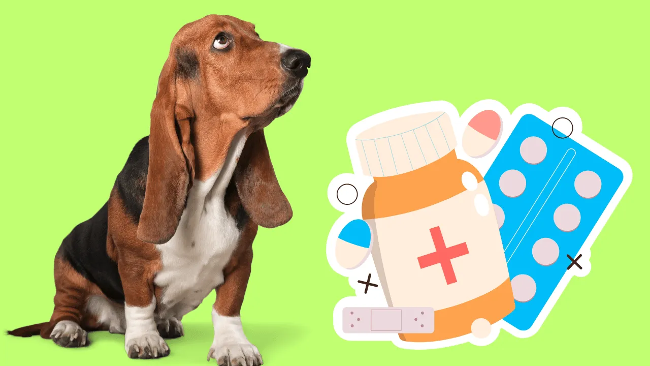 Benadryl Dosage Calculator For Dogs🐶 Dosage Chart