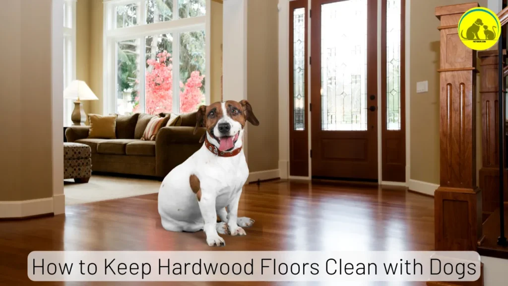 How to Keep Hardwood Floors Clean with Dogs