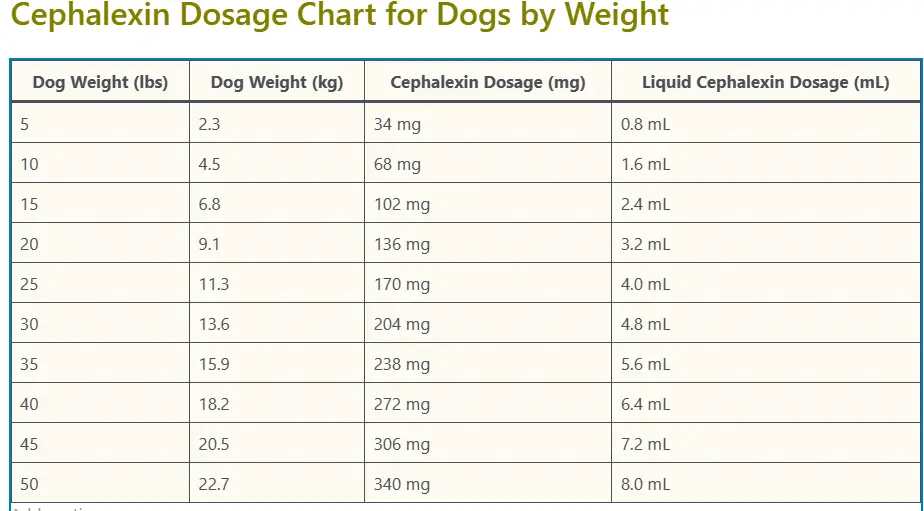 Cephalexin Dosage Chart for Dogs by Weight