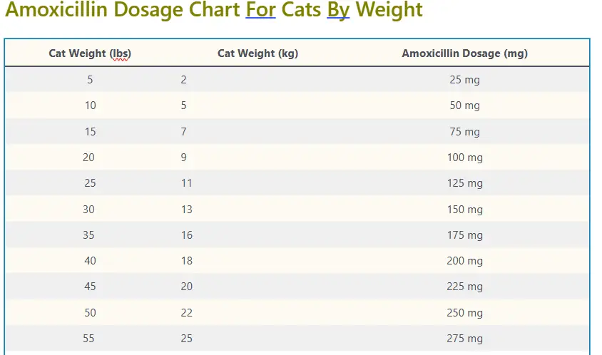 Amoxicillin Dosage chart For Cats