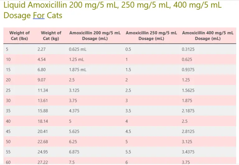 Amoxicillin dosage for cats 250 500 mg dosage chart