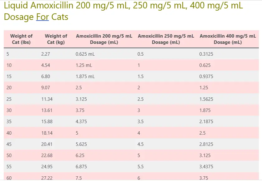Liquid Amoxicillin Dosage chart For Cats